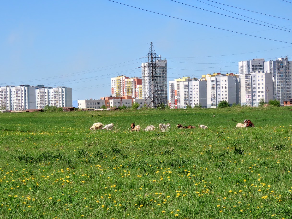 VFL.RU - ��� �����������