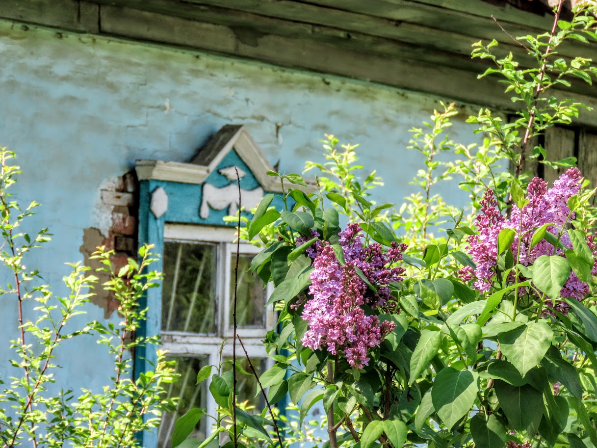 VFL.RU - ��� �����������