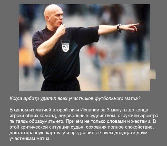 poz1 5