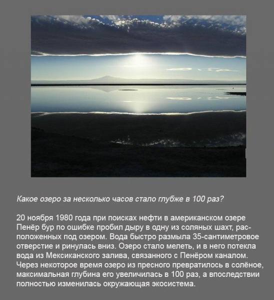 poz1 23