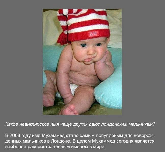 poz1 30