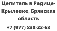 Целитель в Радице-Крыловке, Брянская область