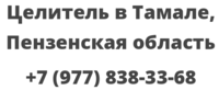 Целитель в Тамале, Пензенская область