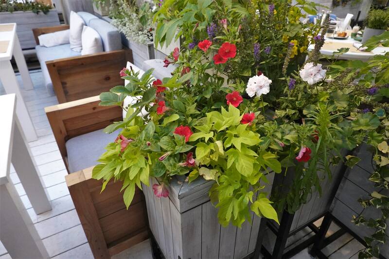 Ресторан Сыроварня