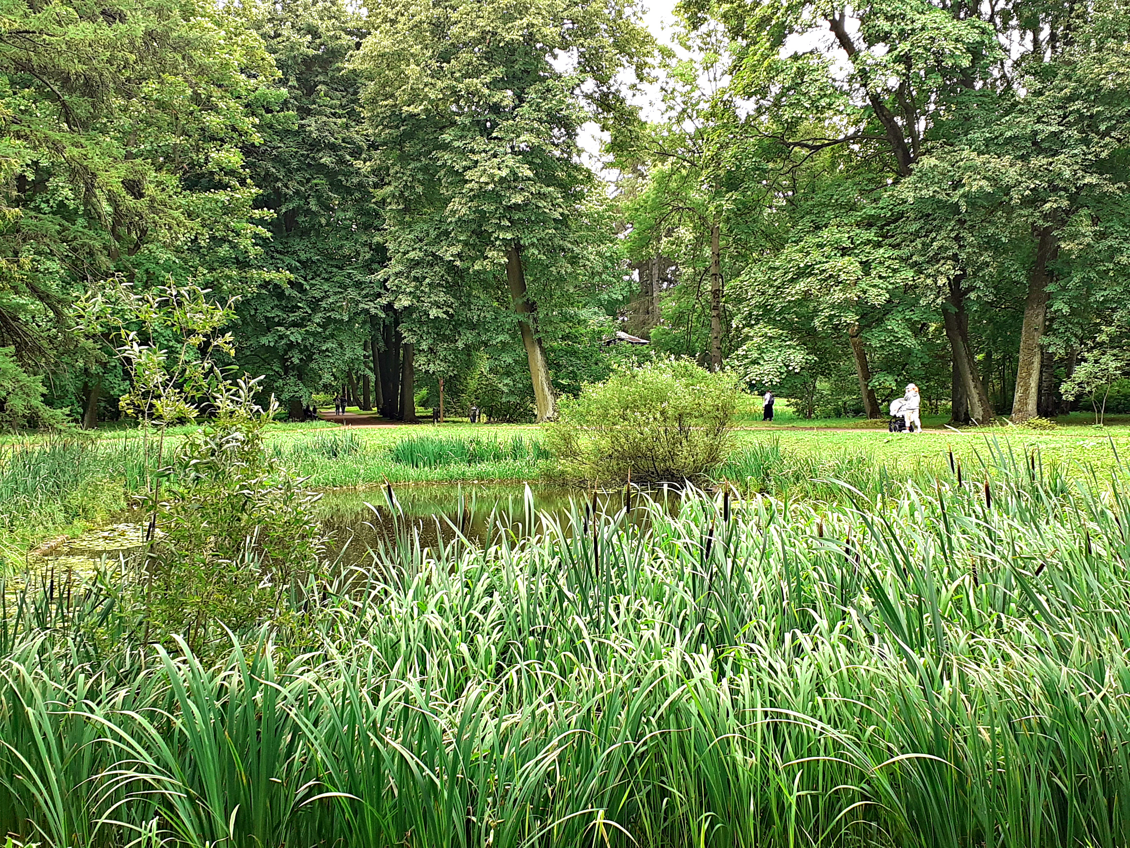 Ботанический сад Санкт-Петербург парк