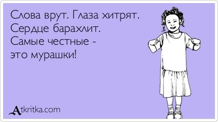VFL.RU -  