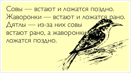 VFL.RU -  