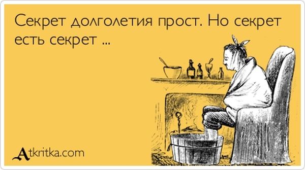 VFL.RU -  