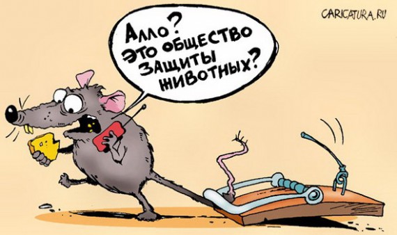 VFL.RU -  