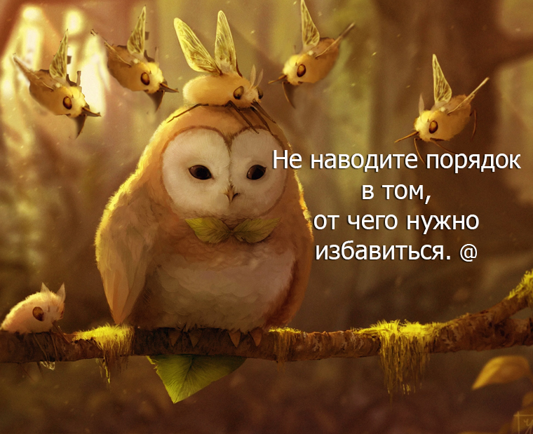 VFL.RU - ��� �����������