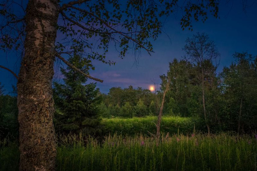 VFL.RU - ��� �����������