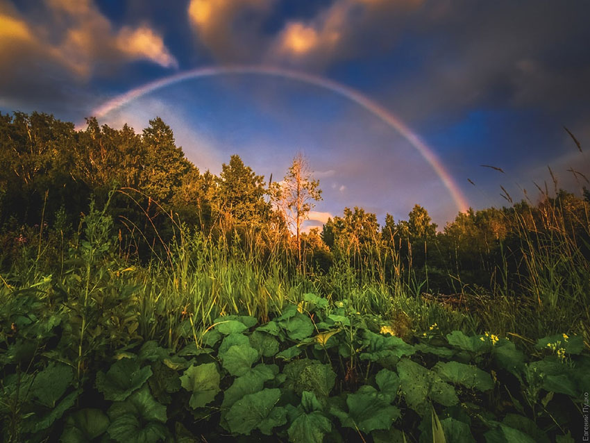 VFL.RU - ��� �����������