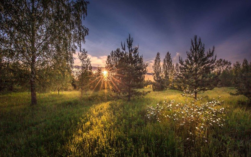 VFL.RU - ��� �����������