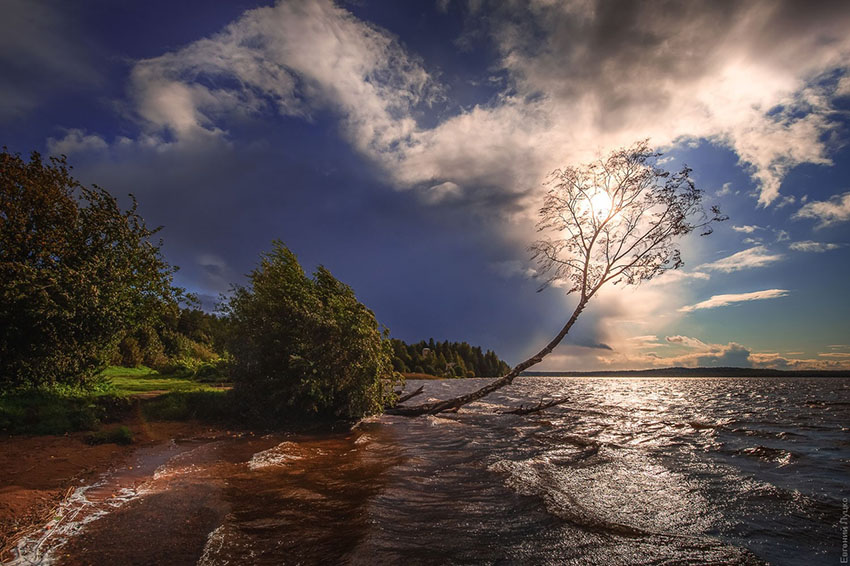 VFL.RU - ��� �����������