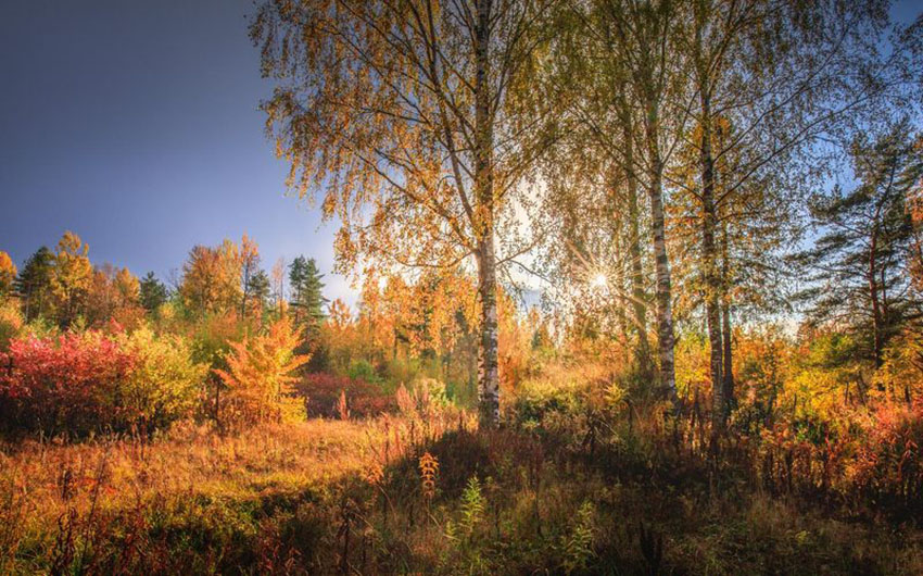 VFL.RU - ��� �����������