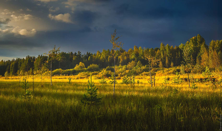VFL.RU - ��� �����������
