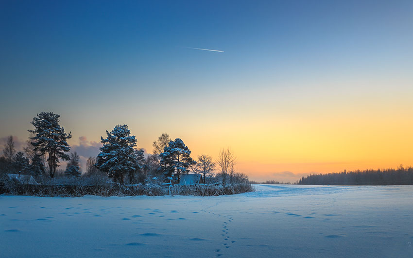 VFL.RU - ��� �����������