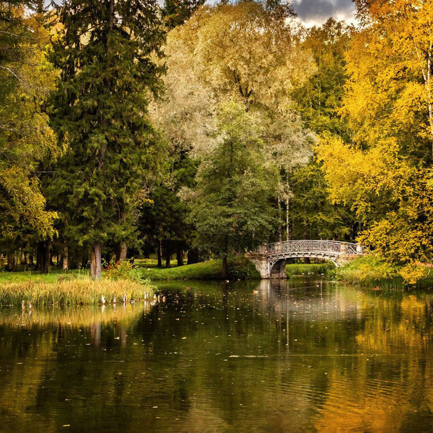 VFL.RU - ��� �����������