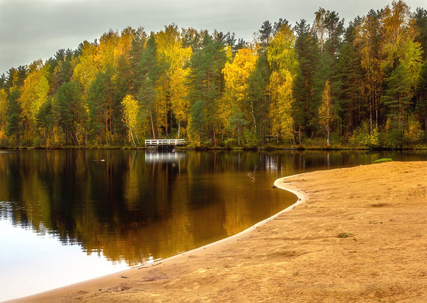 VFL.RU - ��� �����������