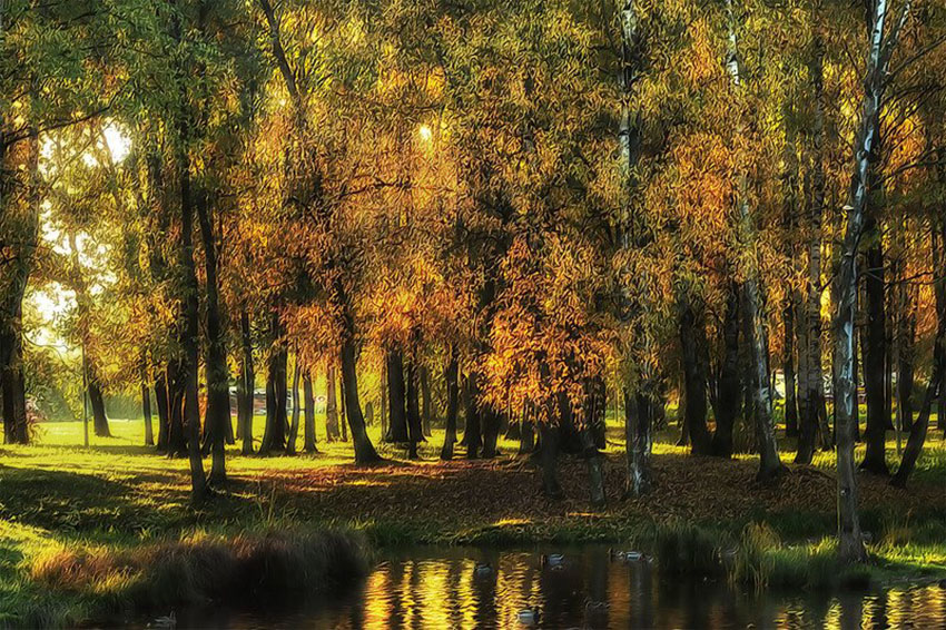 VFL.RU - ��� �����������