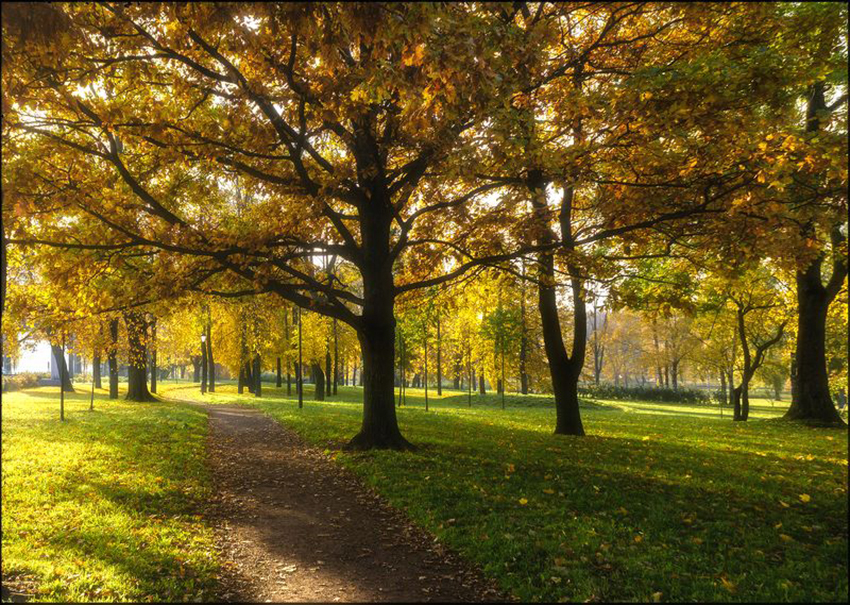 VFL.RU - ��� �����������