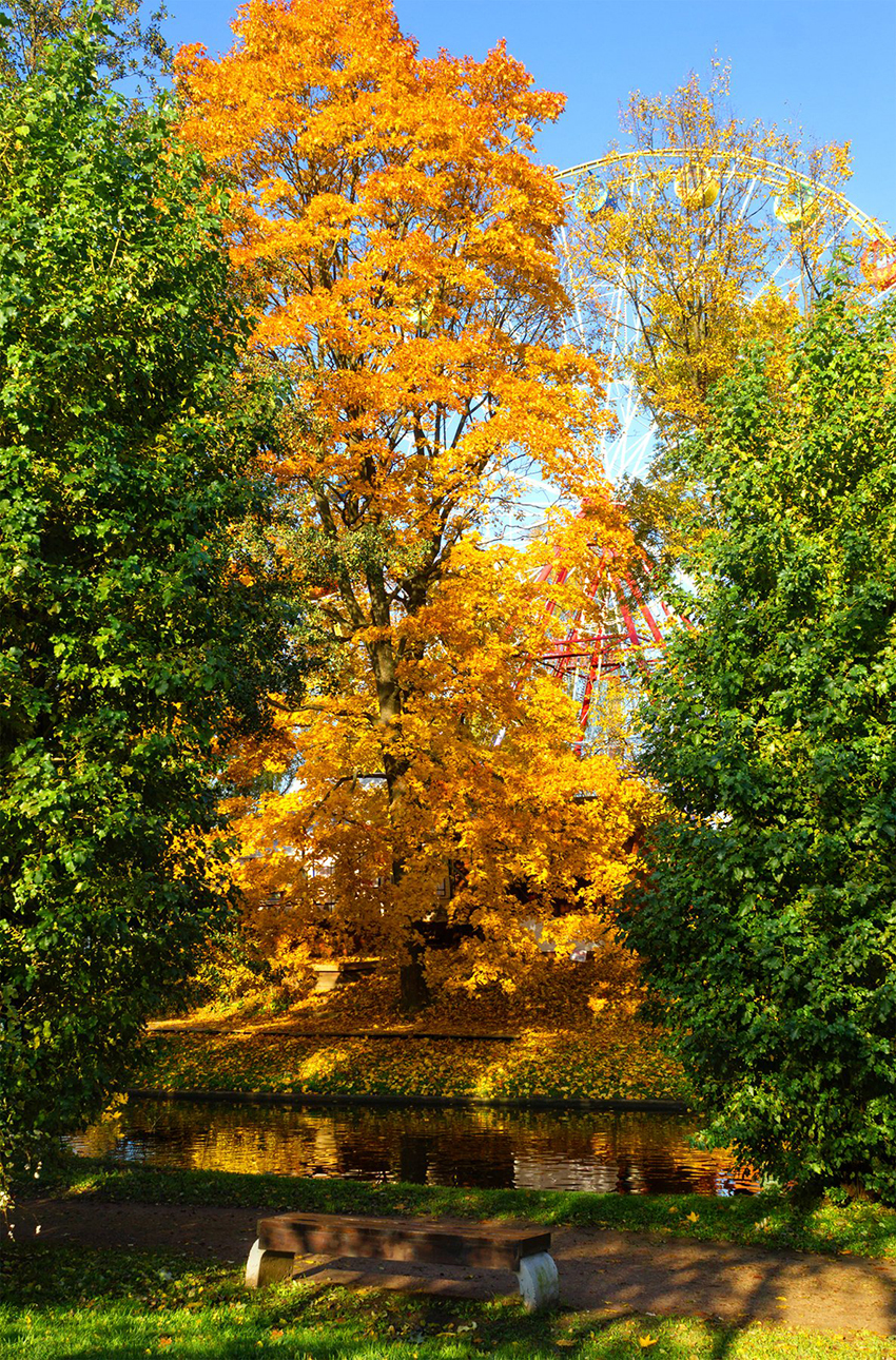 VFL.RU - ��� �����������