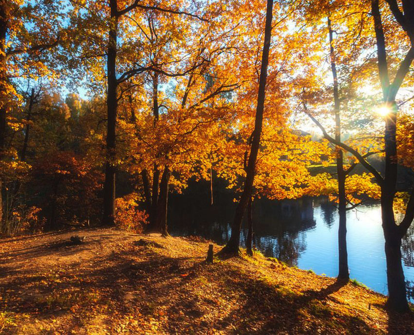 VFL.RU - ��� �����������