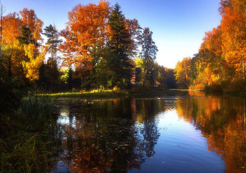 VFL.RU - ��� �����������