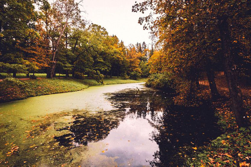 VFL.RU - ��� �����������