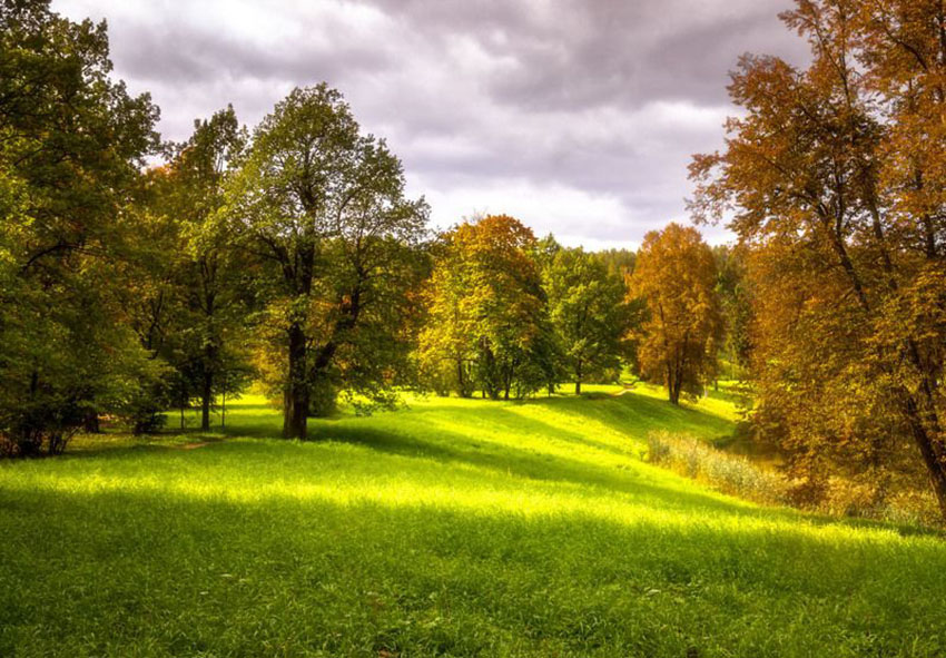 VFL.RU - ��� �����������