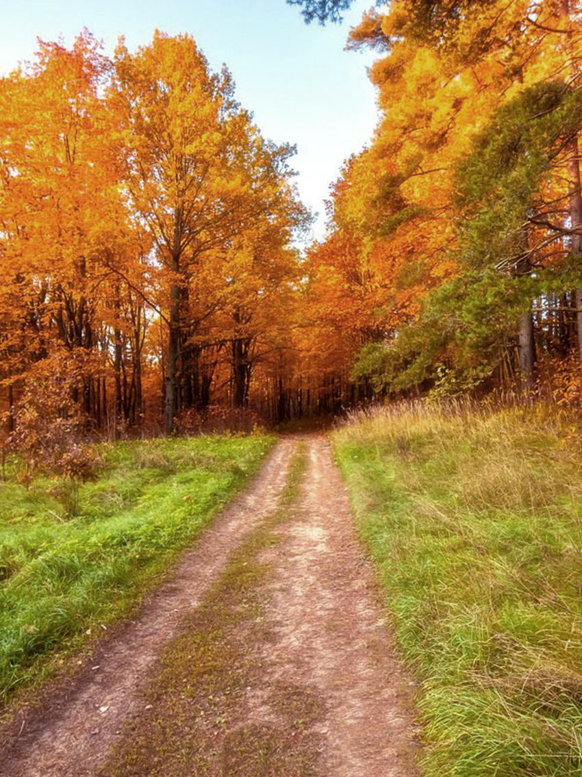 VFL.RU - ��� �����������