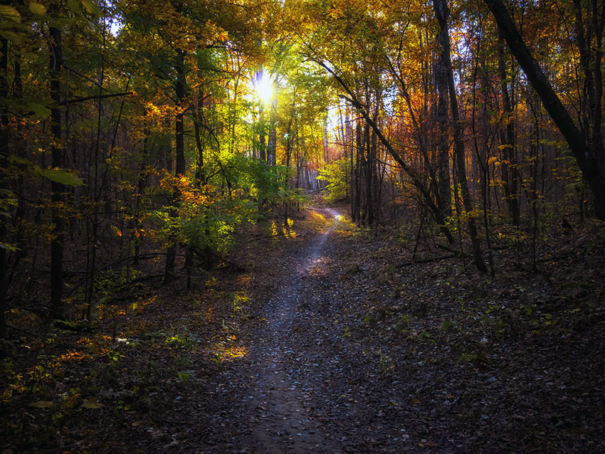 VFL.RU - ��� �����������