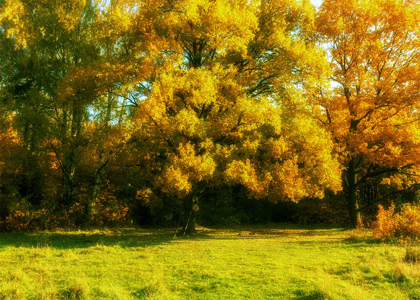 VFL.RU - ��� �����������