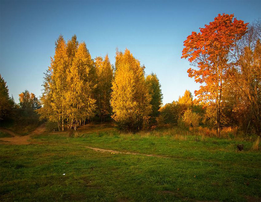 VFL.RU - ��� �����������