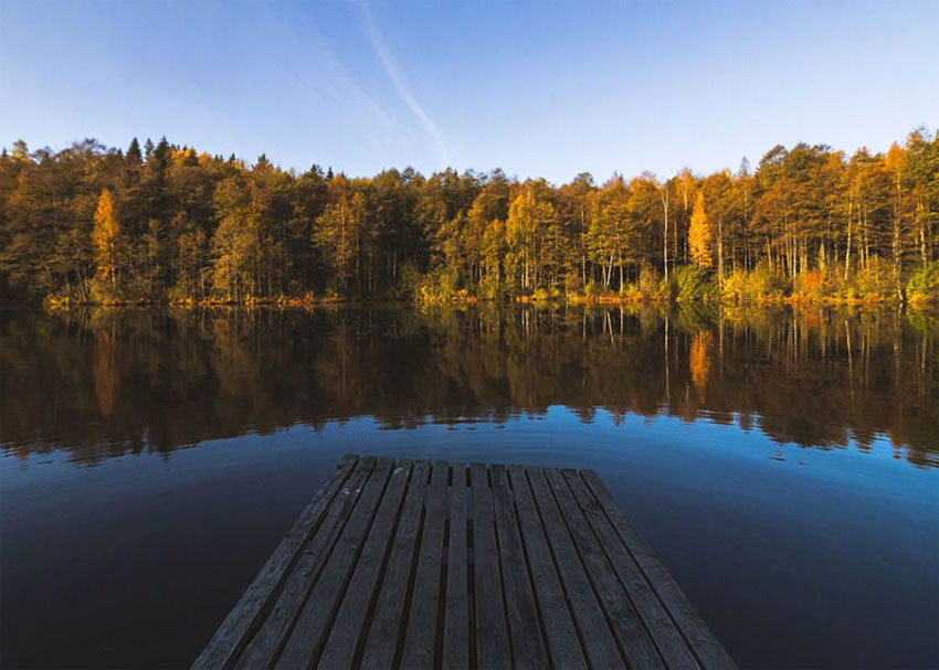 VFL.RU - ��� �����������