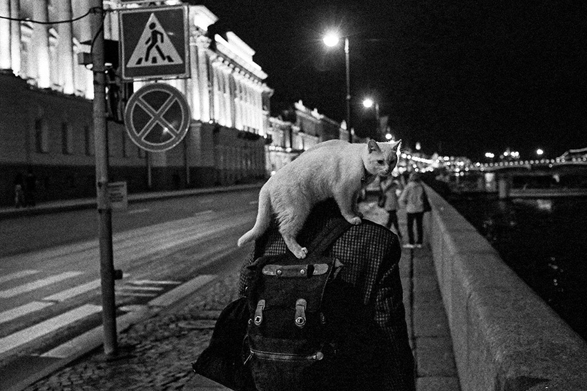 VFL.RU - ��� �����������