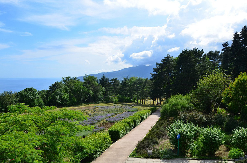 VFL.RU - ��� �����������