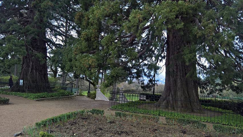 VFL.RU - ��� �����������