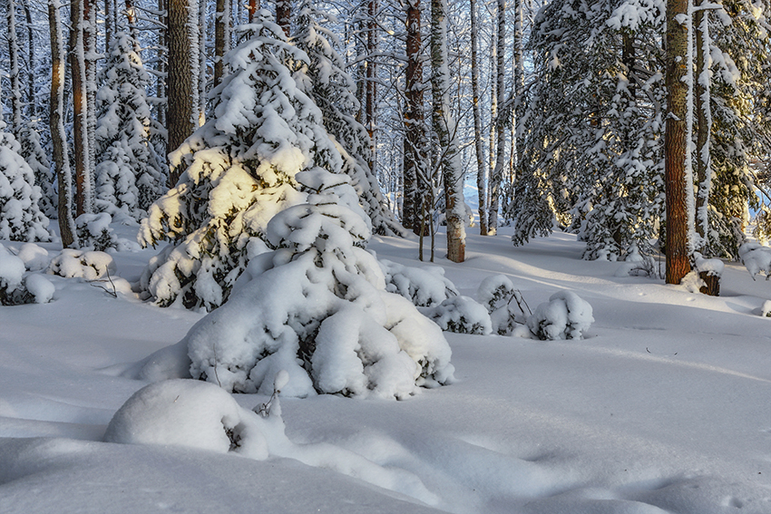 VFL.RU - ��� �����������