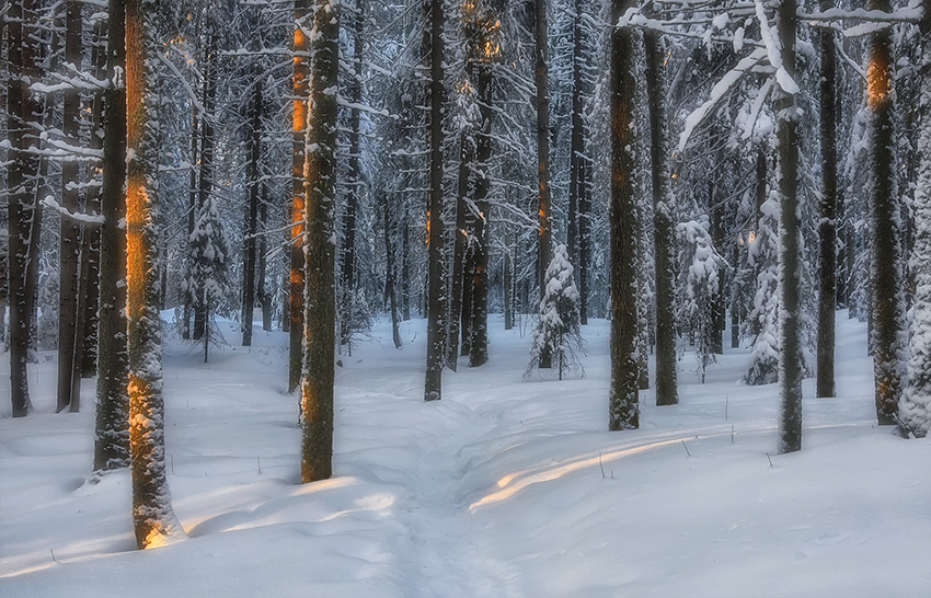 VFL.RU - ��� �����������