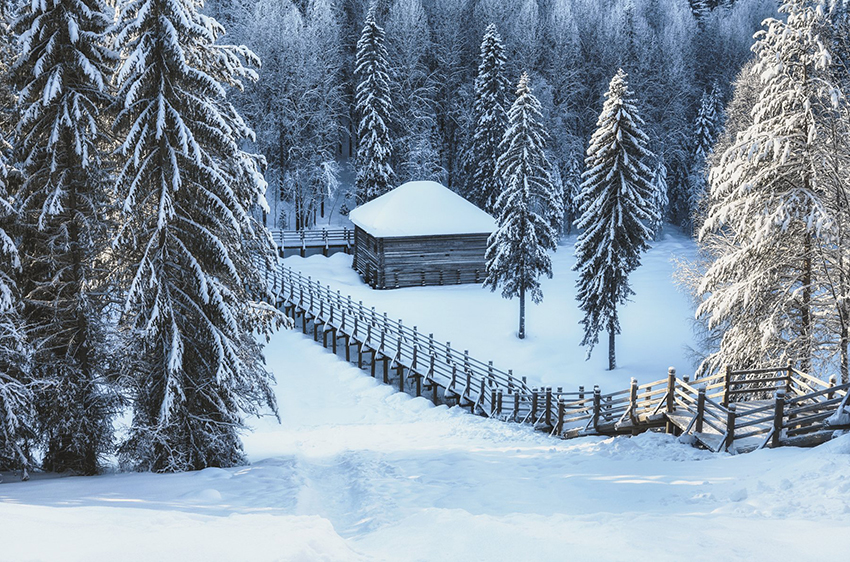 VFL.RU - ��� �����������