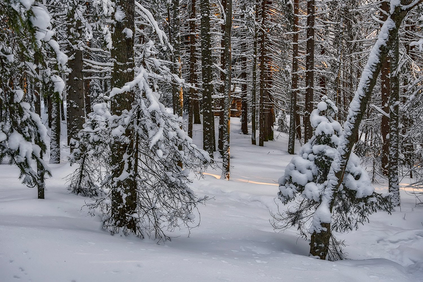 VFL.RU - ��� �����������