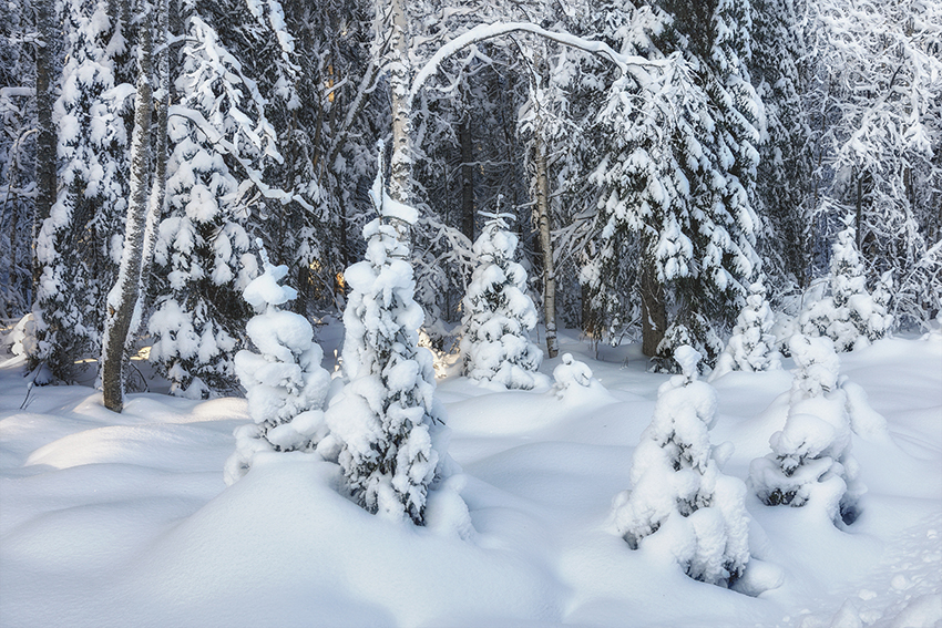 VFL.RU - ��� �����������