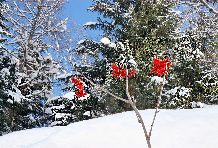 VFL.RU - ��� �����������