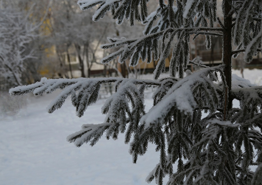 VFL.RU - ��� �����������