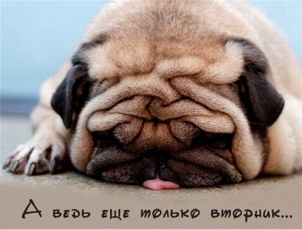 VFL.RU -  