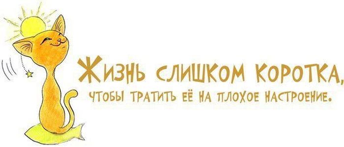 VFL.RU -  