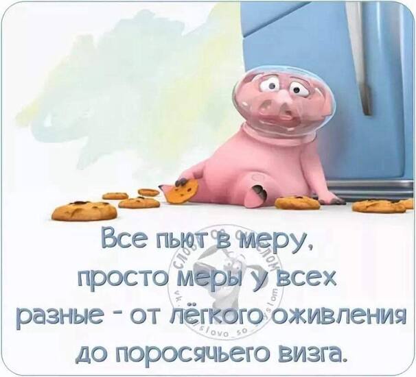 VFL.RU -  