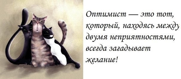 VFL.RU -  