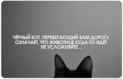 VFL.RU -  